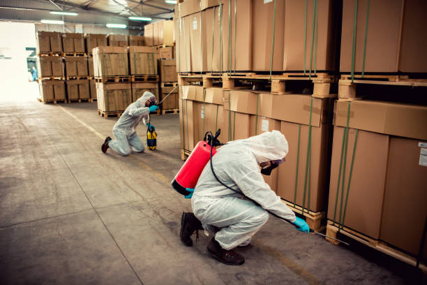 Reliable Cozad, NE Pest Control Solutions