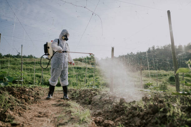 Best Pest Removal Services  in Cozad, NE