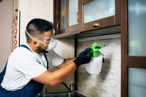 Reliable Cozad, NE Pest Control Solutions