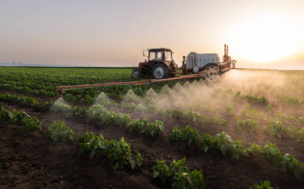 Best Best Pest Control Companies  in Cozad, NE
