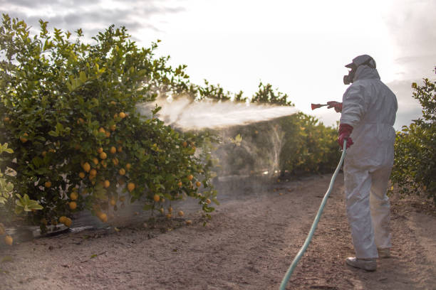 Best Residential Pest Control  in Cozad, NE