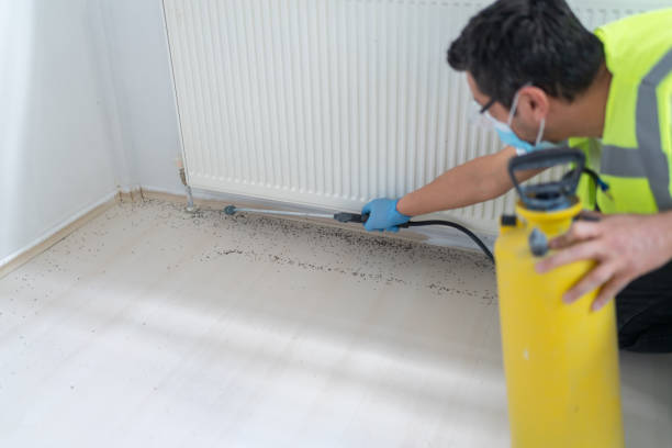 Best Bed Bug Extermination  in Cozad, NE